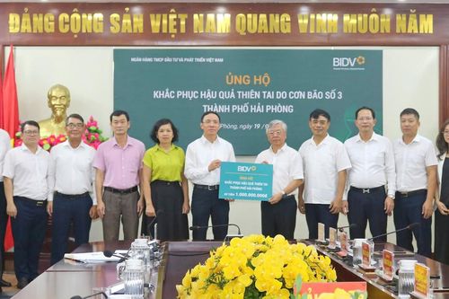 Hải Phòng: Phân bổ trên 47 tỷ đồng hỗ trợ các quận, huyện khắc phục hậu quả bão số 3