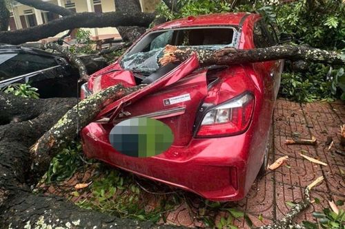 Cành xà cừ đè trúng một giáo viên, 4 ôtô bẹp rúm ở Thanh Hóa