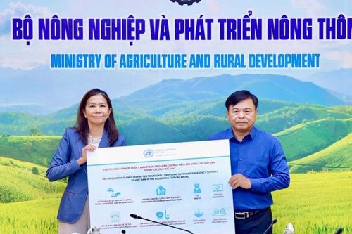 15 triệu USD, 200 tấn hàng hóa hỗ trợ Việt Nam khắc phục bão số 3