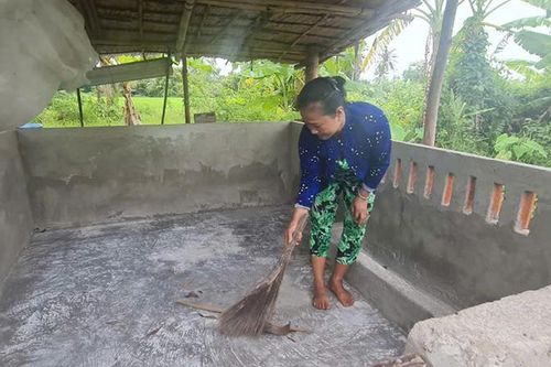 Người dân Hậu Giang mong sớm được hỗ trợ con giống sạch bệnh để tái đàn lợn sau dịch