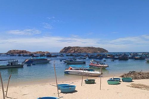Bình Định yêu cầu tàu thuyền di chuyển vào bờ để tránh bão
