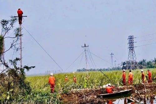 Điện lực Ninh Bình chung tay khắc phục sự cố lưới điện tại Quảng Ninh sau bão số 3