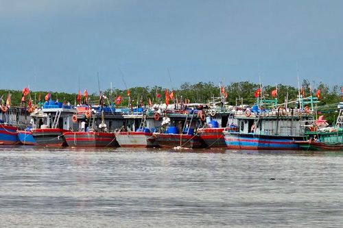 Thanh Hóa: 5.761 phương tiện nghề cá đã vào nơi neo đậu an toàn