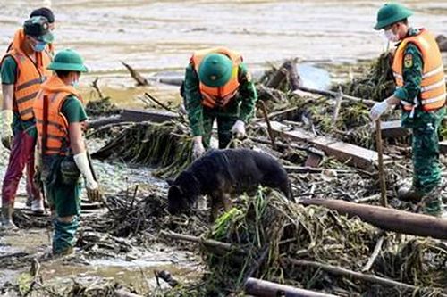 'Đội quân đặc biệt' hỗ trợ tìm kiếm nạn nhân Làng Nủ