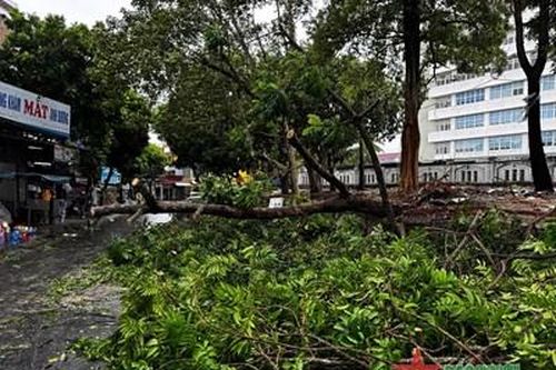 Quảng Bình: Chủ động phòng chống, sẵn sàng ứng phó với mưa bão