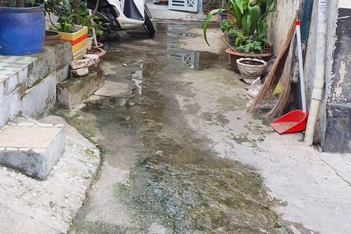 Hẻm vẫn còn ẩm ướt, hôi hám