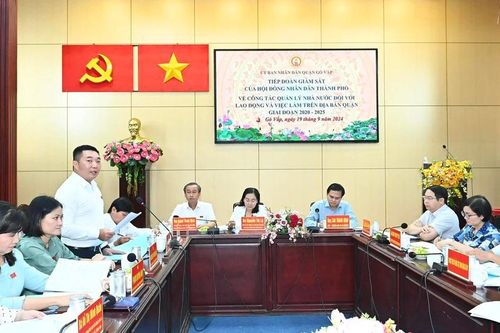 Chủ tịch HĐND Nguyễn Thị Lệ yêu cầu tăng cường thanh tra, kiểm tra việc chấp hành pháp luật lao động