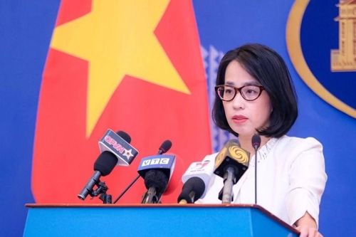 Đề nghị các nước hỗ trợ ngư dân, tàu thuyền của Việt Nam trú tránh bão số 4