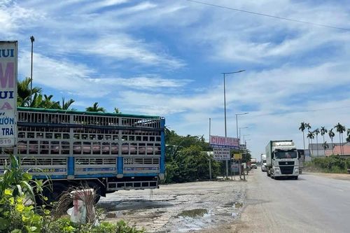 Quảng Ngãi: Điểm dừng nghỉ mở dịch vụ tắm heo gây ô nhiễm
