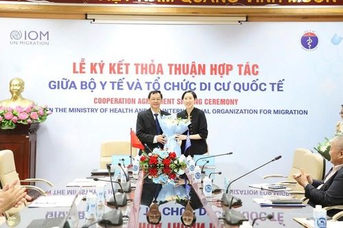 IOM và Bộ Y tế bắt tay nỗ lực nâng cao sức khỏe và chất lượng cuộc sống của người di cư