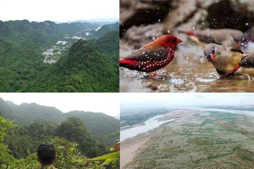 Đừng để giá trị đa dạng sinh học bị bỏ ngỏ