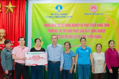C.P. Việt Nam chung tay hướng về miền Bắc thương yêu