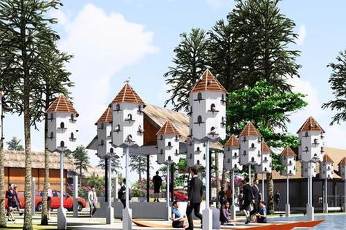 Có một 'Thành phố bồ câu' giữa di sản hệ sinh thái xưa