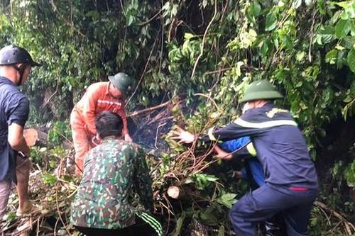 Cây gãy đổ đè trúng 2 cha con đi xe máy trên quốc lộ