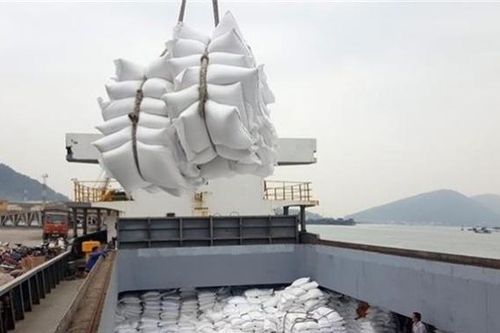 Tin tức kinh tế ngày 19/9: Xuất khẩu gạo vượt 4 tỷ USD