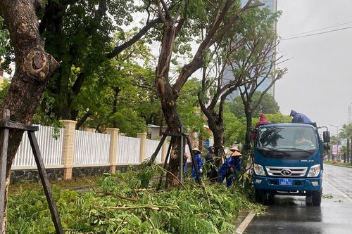 Người dân Huế đem ô tô đến công viên tránh ngập úng