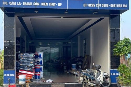 Lời khai ban đầu của nghi phạm giết vợ rồi uống thuốc cỏ tự tử