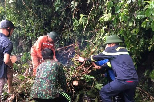 Mưa gió lớn khiến cây đổ ở Con Cuông, một người bị thương