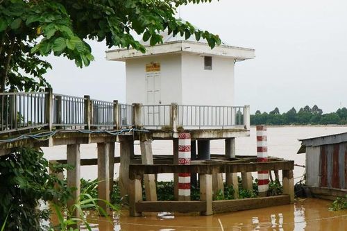 Đỉnh lũ năm nay ở tỉnh Đồng Tháp sẽ cao hơn năm ngoái đến gần nửa mét