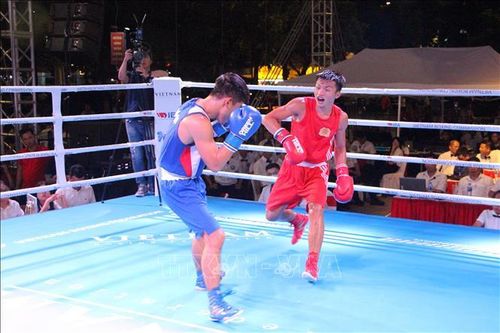 Bế mạc Giải vô địch Boxing toàn quốc năm 2024