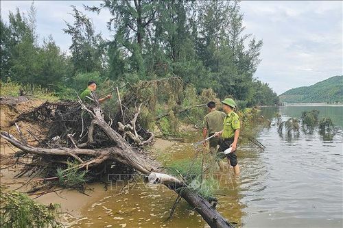 Ngăn chặn nạn săn bắt trái phép trong mùa chim di cư