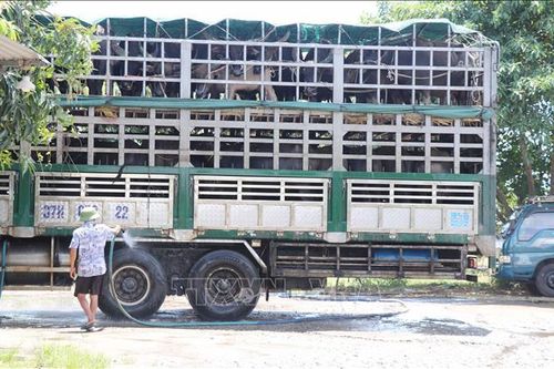 Quảng Ngãi chỉ đạo kiểm tra các cơ sở dịch vụ gây ô nhiễm môi trường