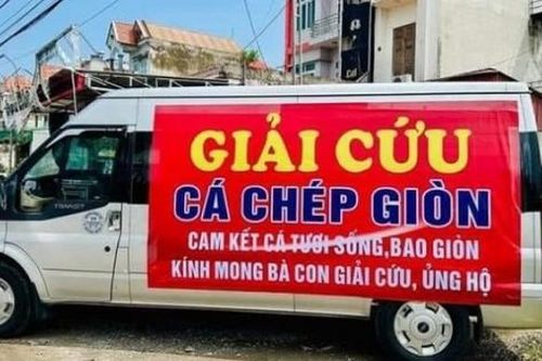 Bất lực nhìn hàng chục tấn cá trôi sông, người nuôi 'kêu trời' vì thiệt hại sau bão
