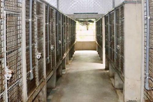 Anh nông dân nuôi 'đặc sản' dân nhậu thích mê, nhẹ nhàng kiếm 1,6 tỷ đồng