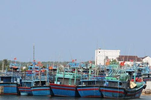 Ngư dân Bình Định tử vong khi đang tránh trú bão số 4