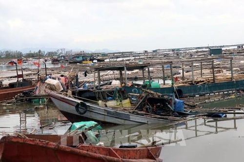Bảo hiểm nông nghiệp: Vì sao chưa phát huy hiệu quả?