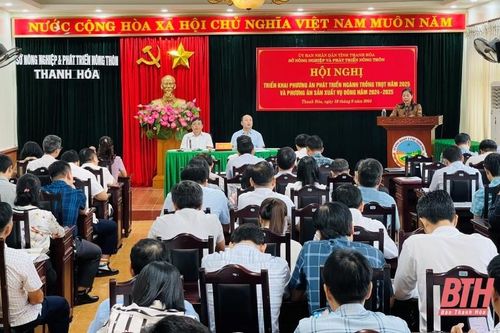 Triển khai phương án phát triển ngành trồng trọt năm 2025 và sản xuất vụ đông năm 2024-2025