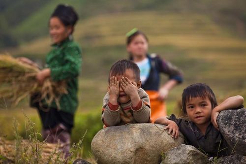 Hỗ trợ cho hơn 4.000 trẻ em trước nguy cơ bị bóc lột lao động
