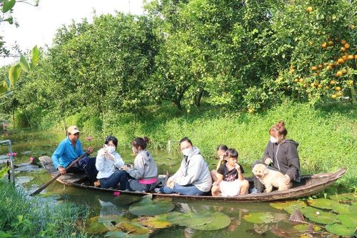 Đẩy mạnh phát triển 'ngành công nghiệp không khói'