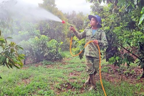 Sản xuất nông nghiệp theo hướng sinh học: Nhiều lợi ích