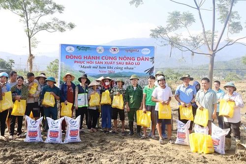 Hỗ trợ 400 kg ngô giống cho người dân khôi phục sản xuất