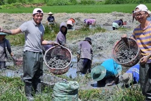 Gỡ 'vướng' cho du lịch nông nghiệp (Bài cuối)