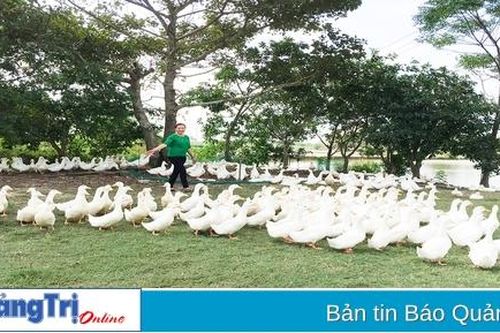 Đảm bảo an toàn cho đàn vật nuôi trong mùa mưa bão