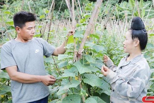 Mường Bằng đẩy mạnh phát triển kinh tế
