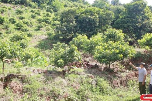 Chiềng Hắc chủ động phòng, chống thiên tai