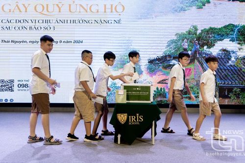 Iris School chung tay khắc phục hậu quả bão Yagi