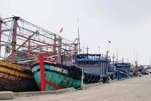 Bảo vệ tàu, thuyền mùa bão, lũ