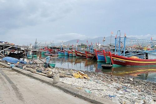 Quảng Bình: Hơn 7.000 phương tiện tàu, thuyền đã vào khu neo đậu tránh, trú bão số 4