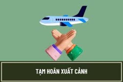 BRVT: Hàng chục giám đốc doanh nghiệp bị tạm hoàn xuất cảnh vì nợ thuế