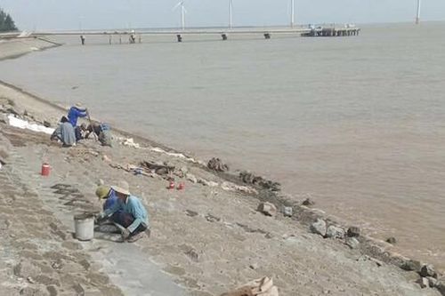 Trà Vinh khắc phục hậu quả sạt lở kè biển
