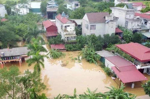 Ứng phó bằng giải pháp, chiến lược nào?
