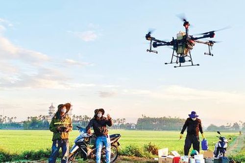 Chặt keo trồng sầu riêng và những cú 'quay xe' giúp nông dân Quảng Ngãi đổi đời