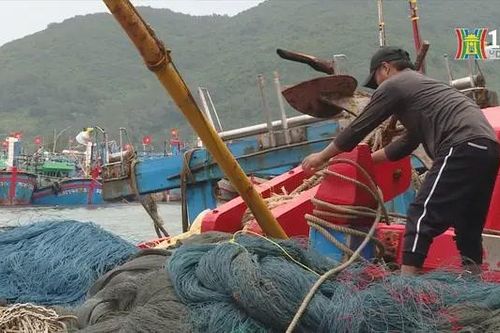 Đảm bảo 100% tàu thuyền tránh trú an toàn