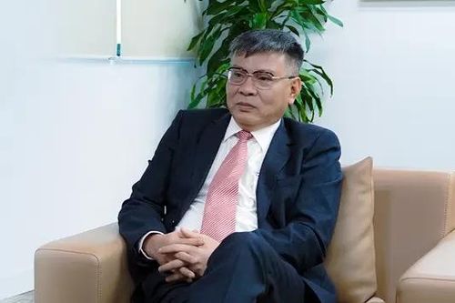 CEO Bamboo Airway bị hoãn xuất cảnh: Cơ quan thuế 'cứng nhắc'?