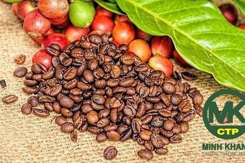 Biến động lạ tại Công ty Khang Minh Capital Trading Public (CTP): Doanh thu sụt giảm mạnh, cơ cấu thượng tầng liên tục thay đổi