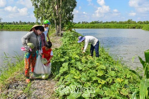 Khơi dậy tính cần cù, yêu lao động